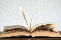 Georgia-Abgeordnete schlagen strafrechtliche Vorwürfe gegen Schulbibliothekare wegen sexuellem Inhalt in Büchern vor